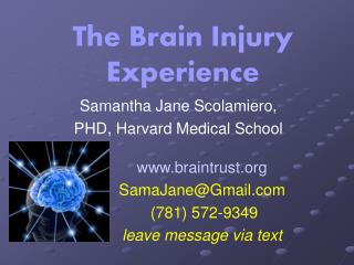 The Brain Injury Experience