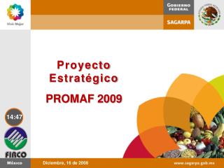 Proyecto Estratégico PROMAF 2009