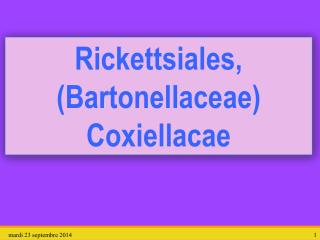 Rickettsiales , ( Bartonellaceae ) Coxiellacae