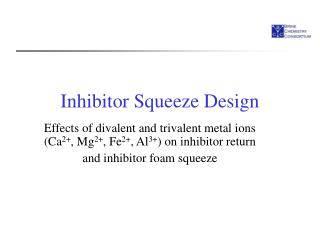 Inhibitor Squeeze Design