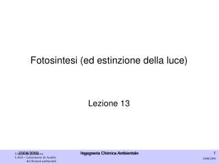 Fotosintesi (ed estinzione della luce) Lezione 13