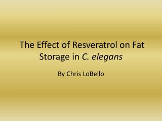 The Effect of Resveratrol on Fat Storage in C. elegans