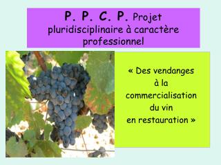 P. P. C. P. Projet pluridisciplinaire à caractère professionnel