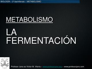 METABOLISMO