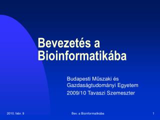Bevezetés a Bioinformatikába