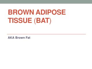 Brown Adipose T issue ( BAT )