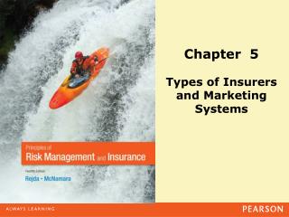 Chapter 5 Types of Insurers and Marketing Systems