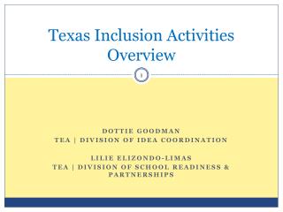 Texas Inclusion Activities Overview
