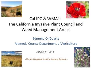 Cal IPC &amp; WMA’s: The California Invasive Plant Council and Weed Management Areas