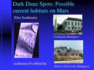 Dark Dune Spots: Possible current habitats on Mars