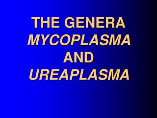 THE GENERA MYCOPLASMA AND UREAPLASMA