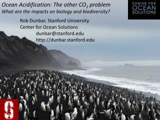 Ocean Acidification: The other CO 2 problem What are the impacts on biology and biodiversity?