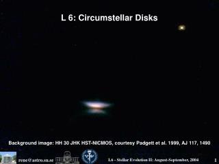 L 6: Circumstellar Disks