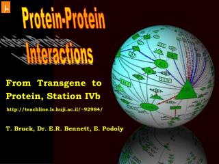 Protein-Protein Interactions