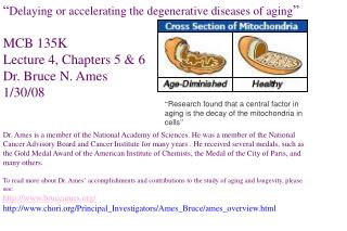 “ Delaying or accelerating the degenerative diseases of aging ” MCB 135K Lecture 4, Chapters 5 &amp; 6