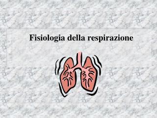 Fisiologia della respirazione