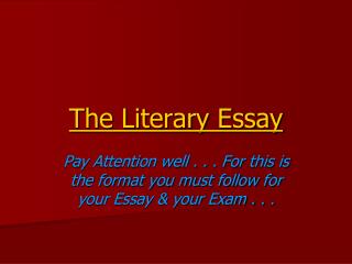 The Literary Essay