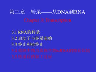 第三章　转录 —— 从 DNA 到 RNA