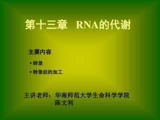 第十三章 RNA 的代谢