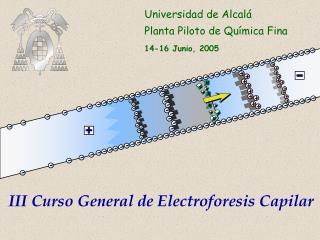 Universidad de Alcalá Planta Piloto de Química Fina 14-16 Junio, 2005