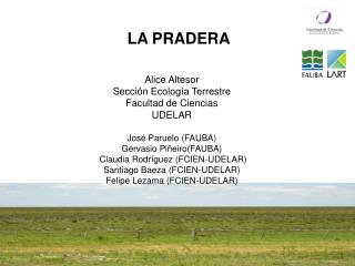 Alice Altesor Sección Ecología Terrestre Facultad de Ciencias UDELAR José Paruelo (FAUBA)