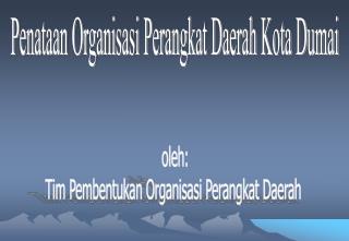 oleh: Tim Pembentukan Organisasi Perangkat Daerah