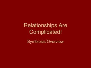 Relationships Are Complicated!
