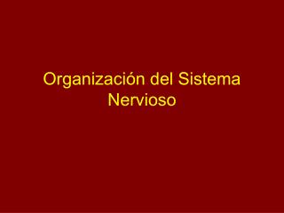 Organización del Sistema Nervioso