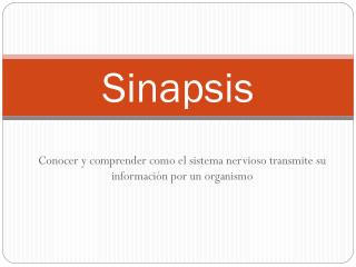 Sinapsis