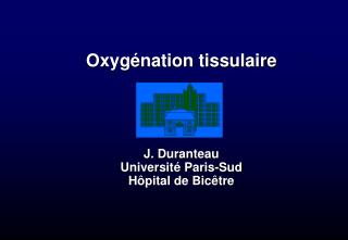 Oxygénation tissulaire J. Duranteau Université Paris-Sud Hôpital de Bicêtre