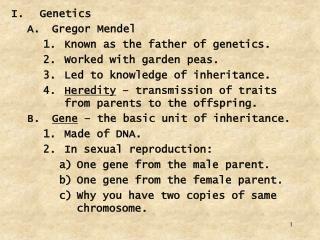 Genetics Gregor Mendel Known as the father of genetics. Worked with garden peas.