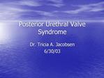 Posterior Urethral Valve Syndrome