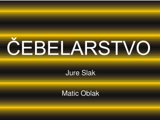 ČEBELARSTVO