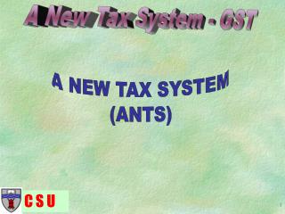 A NEW TAX SYSTEM (ANTS)