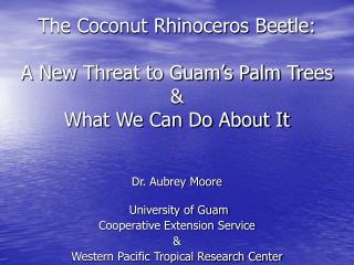 The Coconut Rhinoceros Beetle: A New Threat to Guam’s Palm Trees &amp; What We Can Do About It