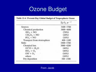 Ozone Budget