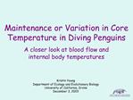 Maintenance or Variation in Core Temperature in Diving Penguins