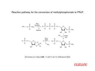 SS Kamat et al . Nature 000 , 1 - 4 (2011) doi:10.1038/nature10622