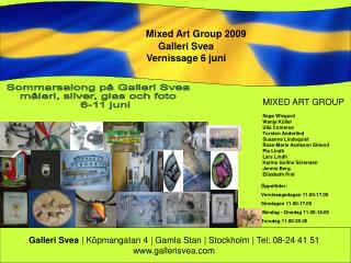 Mixed Art Group 2009 Galleri Svea Vernissage 6 juni