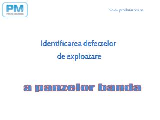 a panzelor banda