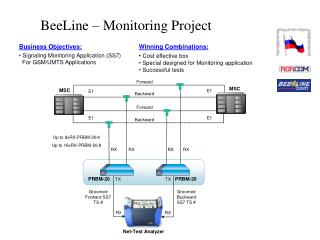 BeeLine – Monitoring Project
