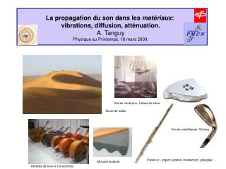 La propagation du son dans les matériaux : vibrations, diffusion, atténuation. A. Tanguy