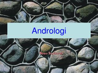 Andrologi