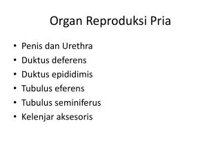 Organ Reproduksi Pria