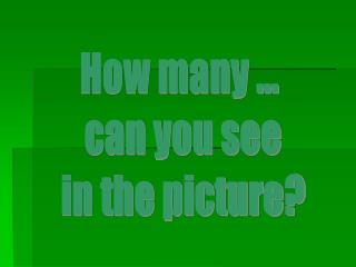 How many ... can you see in the picture?