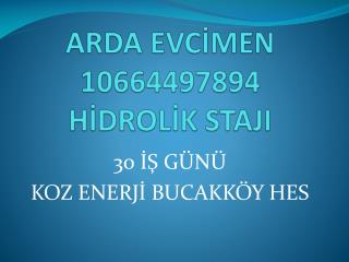 ARDA EVCİMEN 10664497894 HİDROLİK STAJI