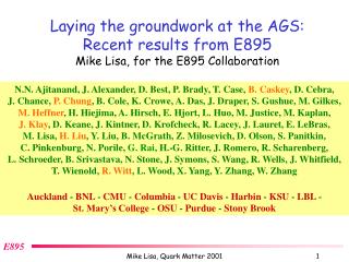 Laying the groundwork at the AGS: Recent results from E895 Mike Lisa, for the E895 Collaboration