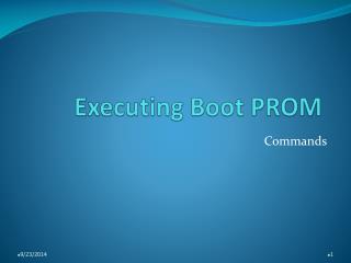 Executing Boot PROM