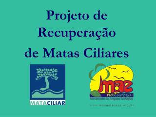 Projeto de Recuperação de Matas Ciliares