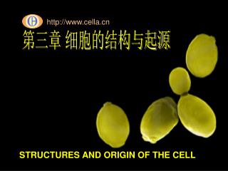 第三章 细胞的结构与起源